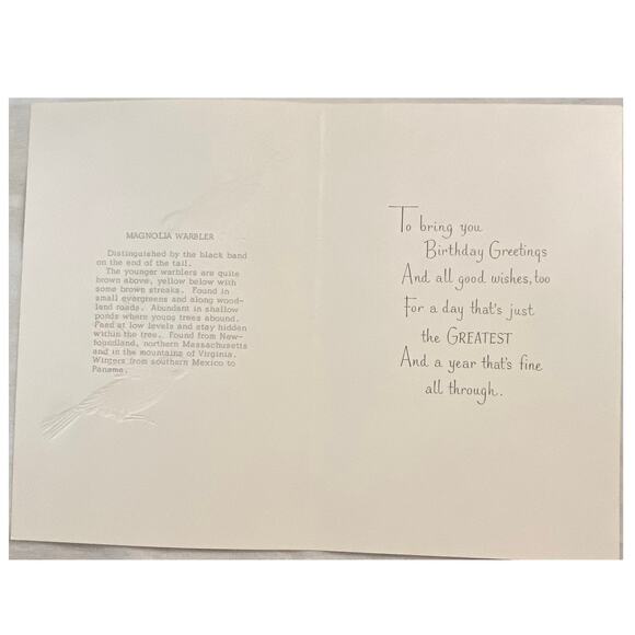 Lot 4 Vtg MCM Birthday Card USA 1970s Embossed Ornithologist Bird Winged Classic - Picture 9 of 16